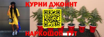 mdpv Можга