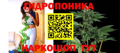 mdpv Можга