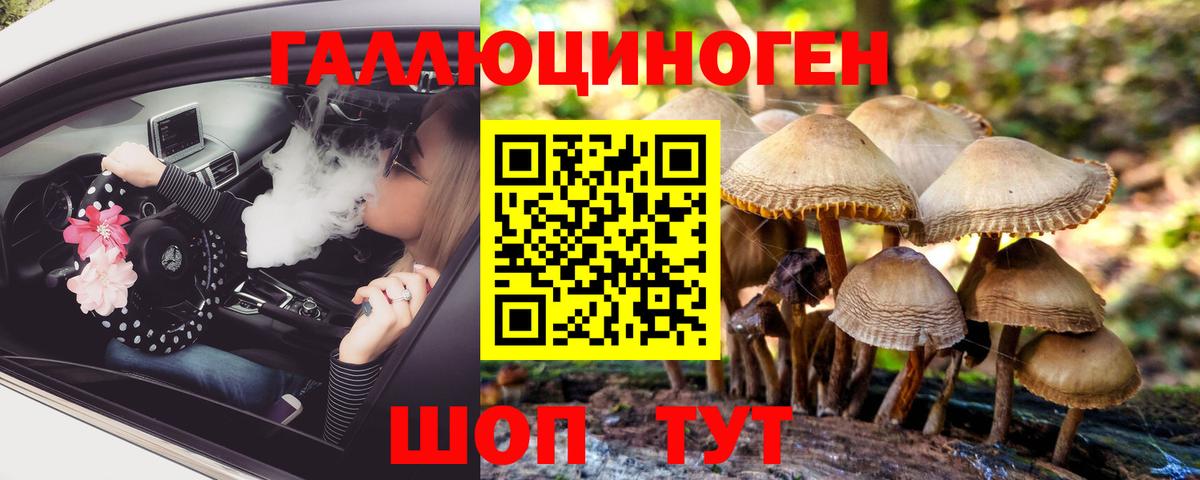 наркотики  Вход с VPN  Югорск  Псилоцибиновые грибы Psilocybe 